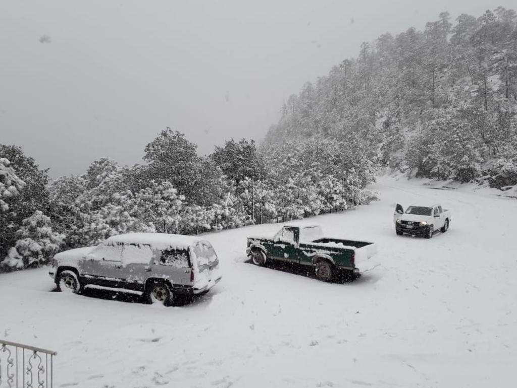 Pronostican nevadas en Baja California, Sonora y Chihuahua. Noticias en tiempo real