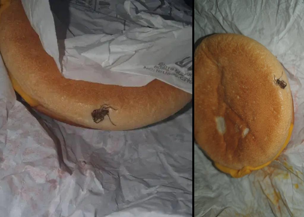 Mujer dice haber encontrado una araña en su hamburguesa. Noticias en tiempo real