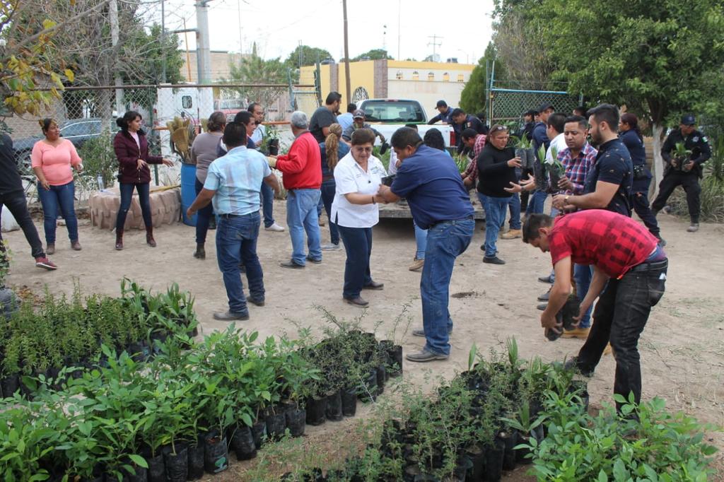 Recibe San Pedro 10 mil arbolitos donados. Noticias en tiempo real