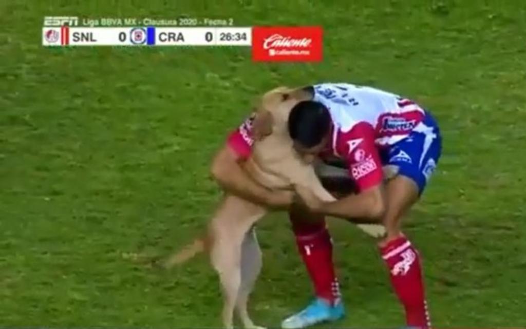 Perro ingresa al campo en el juego de San Luis vs Cruz Azul. Noticias en tiempo real