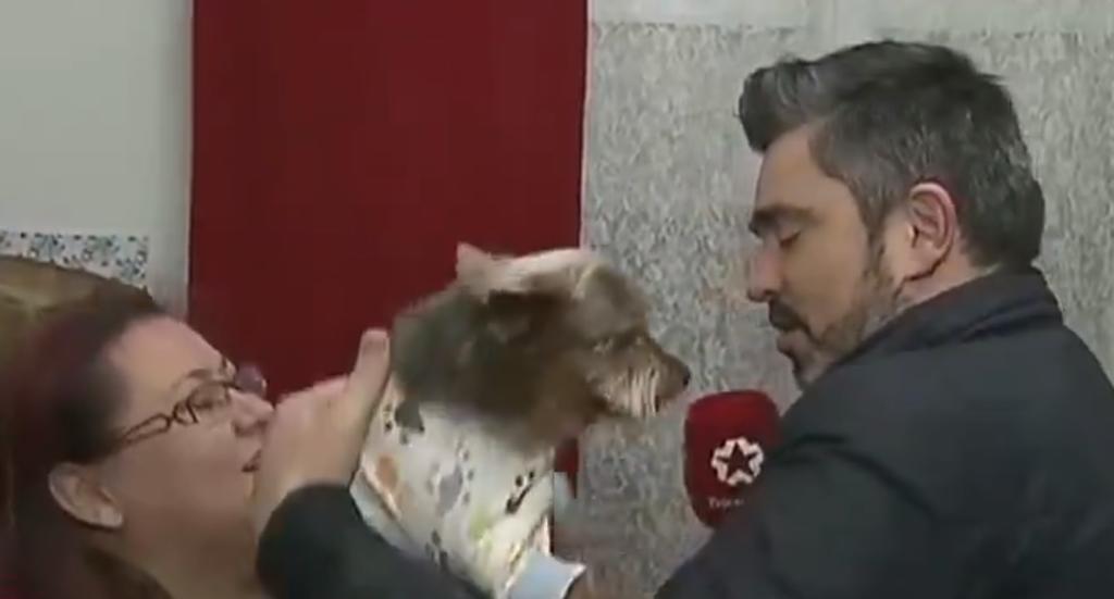 VIDEO: Reportero es mordido por un perro durante reportaje. Noticias en tiempo real