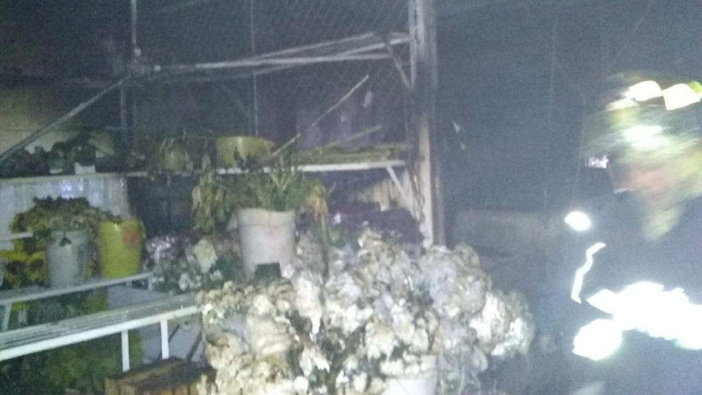 Incendio consume 12 locales en Mercado de las Flores de Xochimilco. Noticias en tiempo real