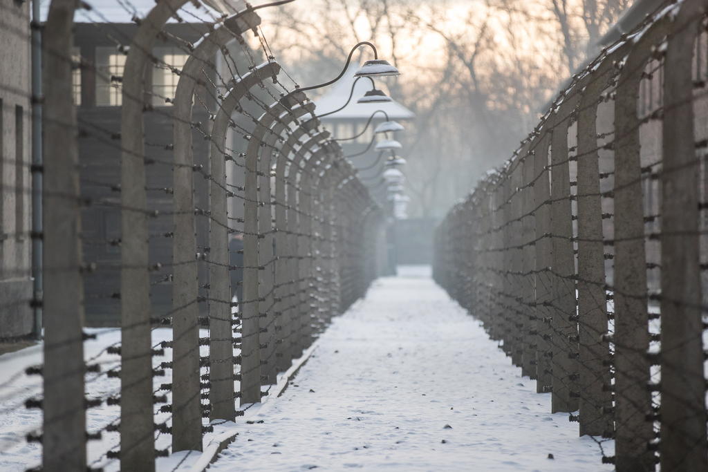 Era más delgado; precisaba menos para vivir: superviviente de Auschwitz. Noticias en tiempo real