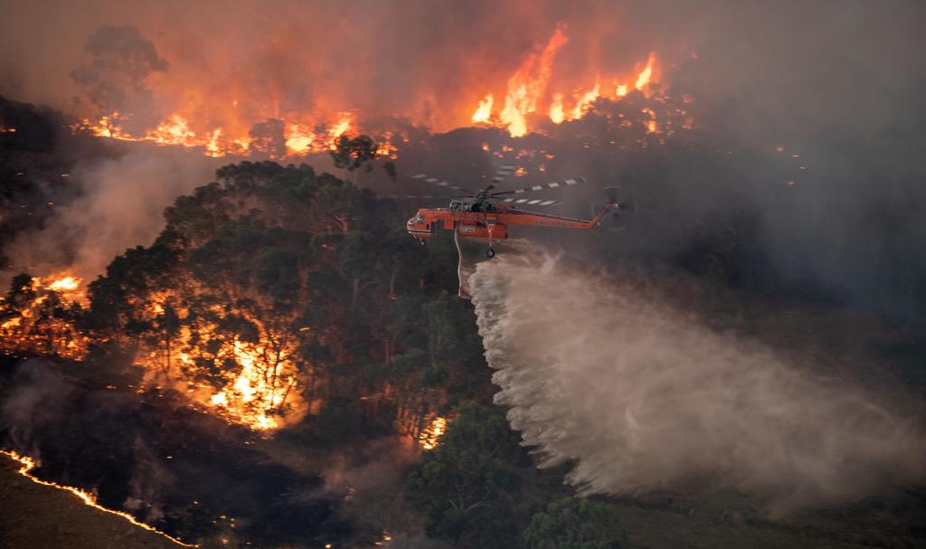 Incendios en Australia no fueron provocados: Greenpeace. Noticias en tiempo real