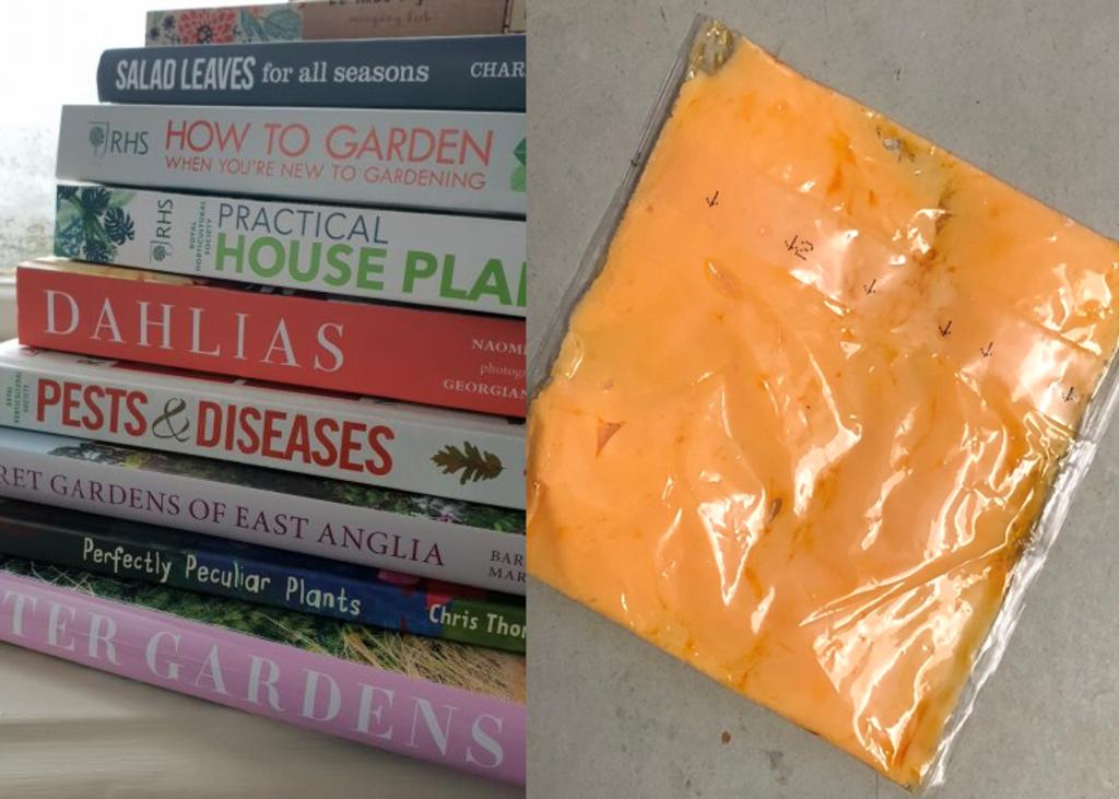 Alguien usó una rebanada de queso como separador de libros. Noticias en tiempo real