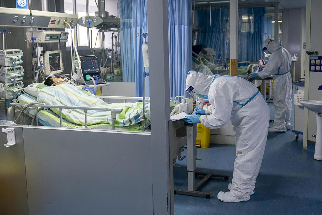 Australia confirma el primer caso de coronavirus de Wuhan. Noticias en tiempo real
