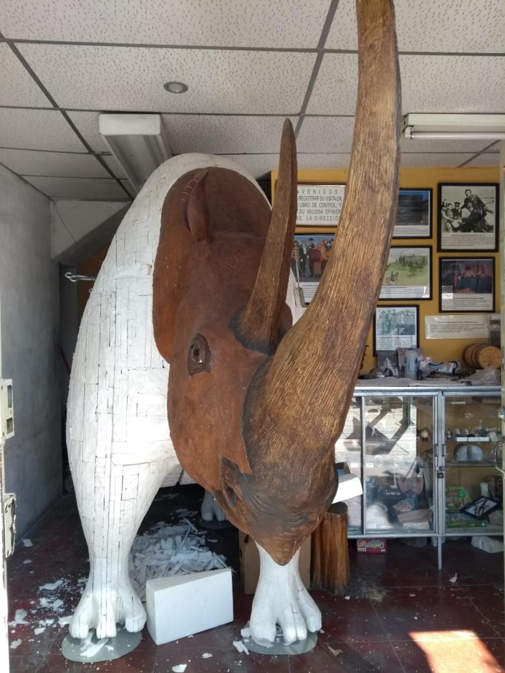 Se nos acabó el espacio: Museo Paleontológico de La Laguna. Noticias en tiempo real