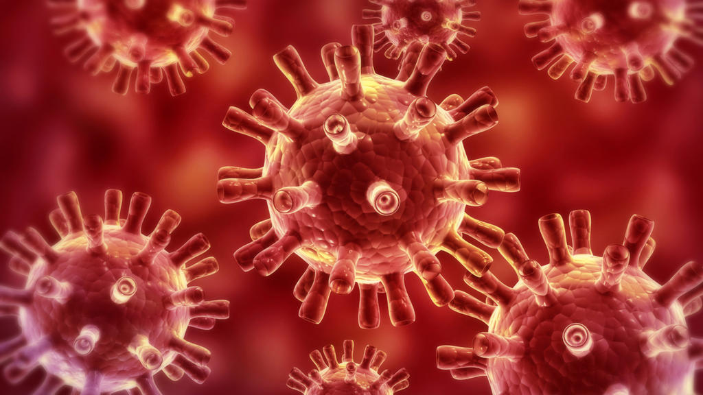 Pánico, fake news, contagios y otras cuestiones que debemos saber del coronavirus. Noticias en tiempo real
