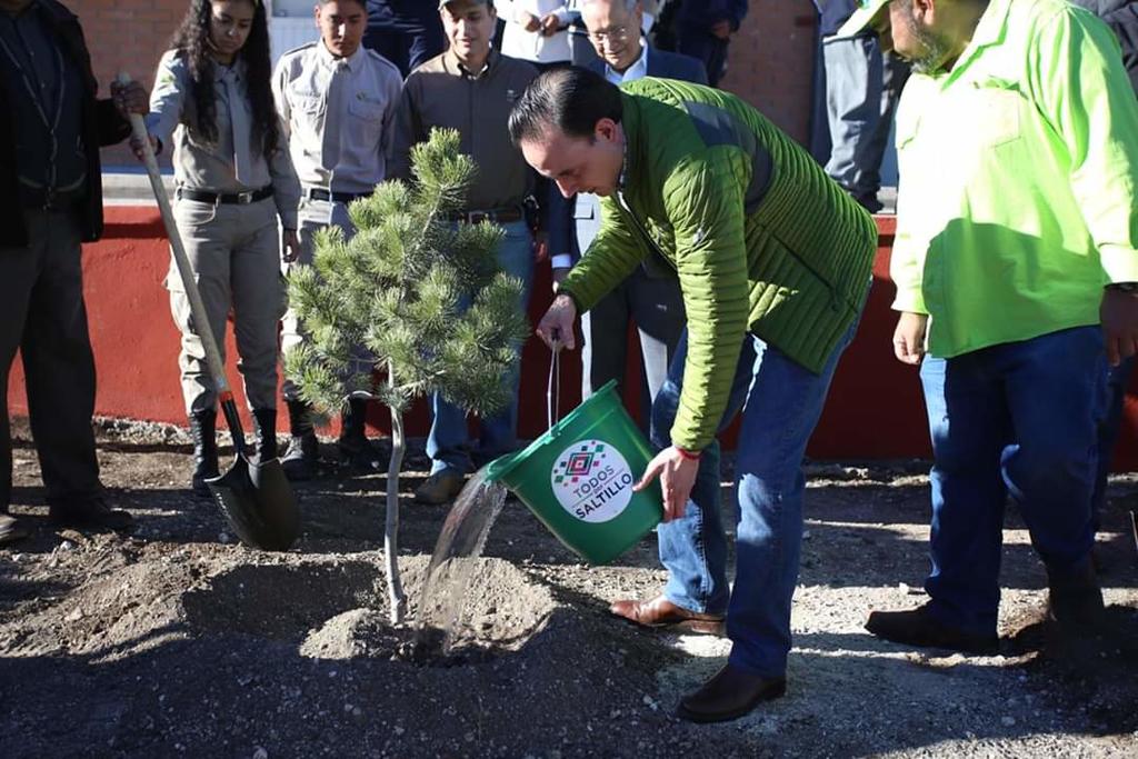 Reforestan tres mil árboles en escuelas de Saltillo. Noticias en tiempo real