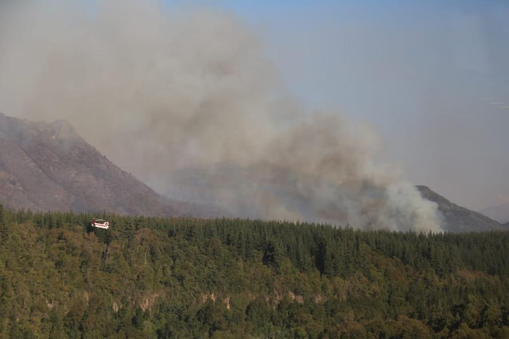 Incendio cerca de parque nacional, uno los más grandes de historia de Chile. Noticias en tiempo real