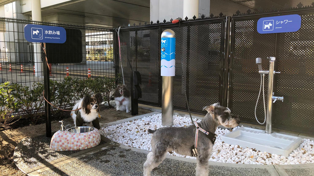 Aeropuerto japonés inaugura un ‘baño para perros’. Noticias en tiempo real