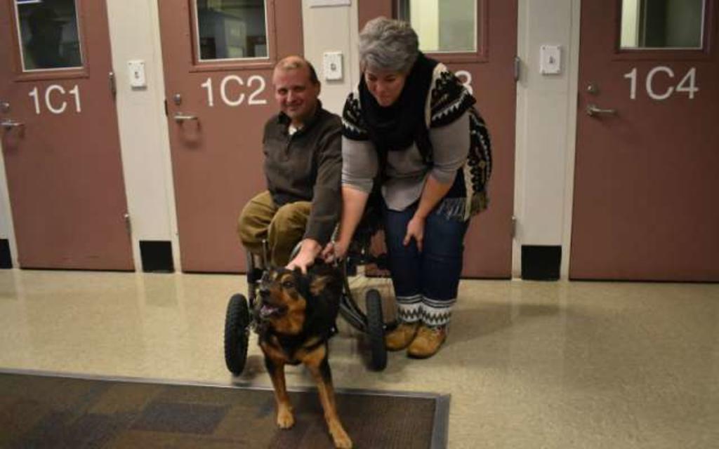 VIRAL: Hombre en silla de ruedas adopta a perrito paralítico. Noticias en tiempo real