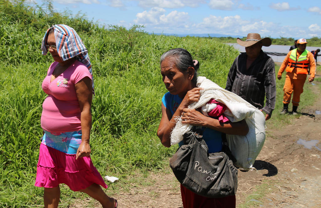 Más de 800 campesinos colombianos han sido desplazados por grupos armados. Noticias en tiempo real