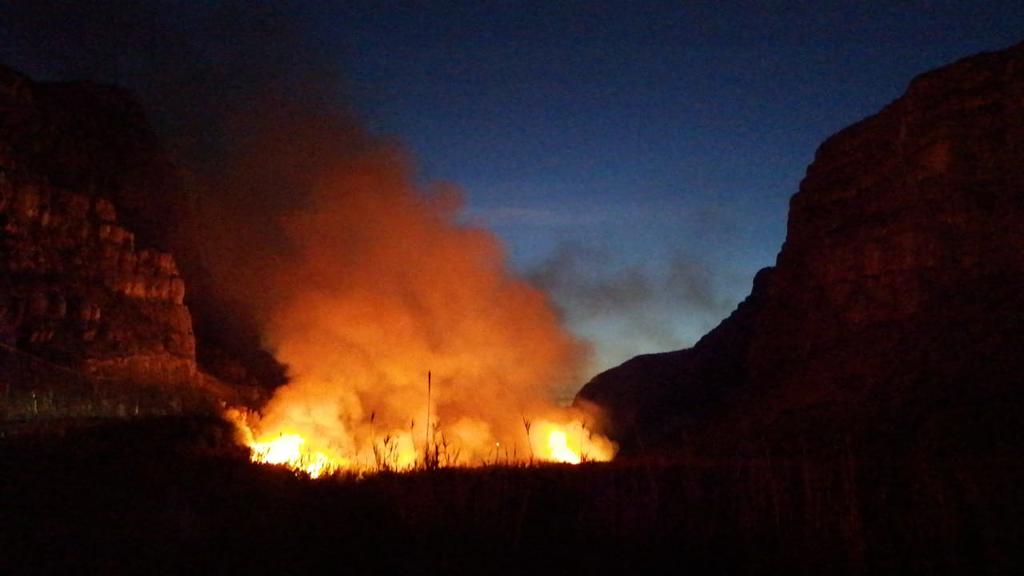 Incendio forestal de 30 hectáreas de parque natural en Coahuila. Noticias en tiempo real
