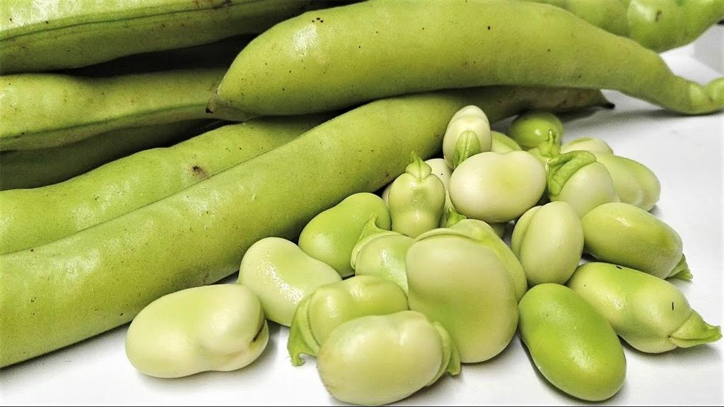 ¿Qué son las habas y cuáles son sus beneficios a la salud