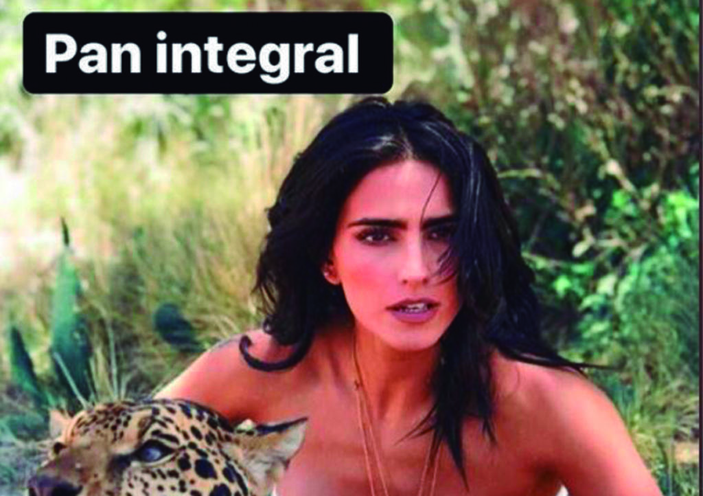 Tunden con memes a Bárbara de Regil por su 'pan integral', El ...