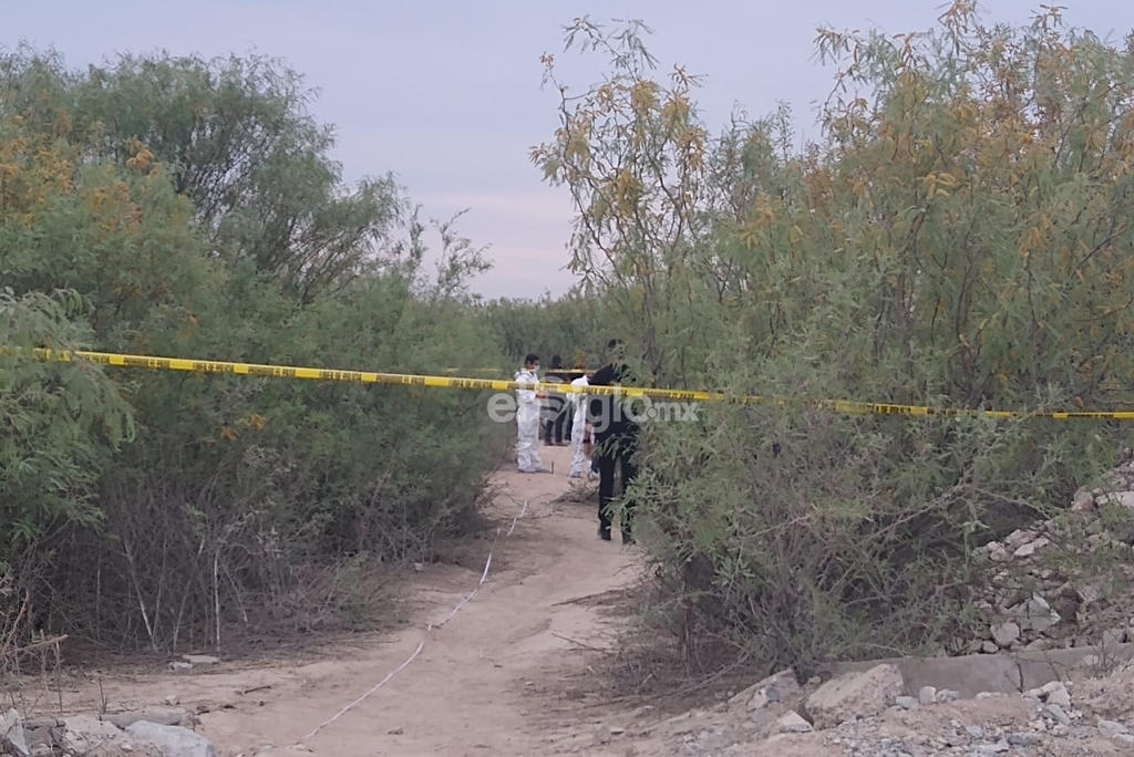 Localizan cuerpo semienterrado en Torreón. Noticias en tiempo real