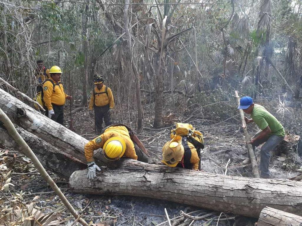 Reportan 32 incendios forestales activos en 12 estados de México. Noticias en tiempo real
