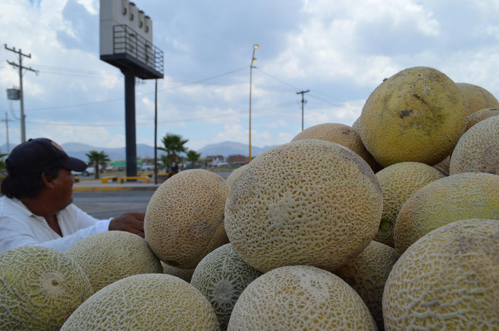 Comienza venta de melón en Matamoros. Noticias en tiempo real