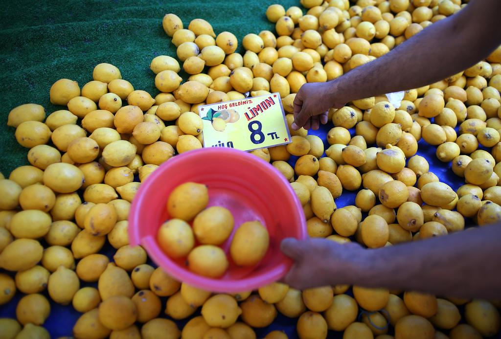 Limita Turquía la exportación de limones para usarlos en desinfectantes. Noticias en tiempo real