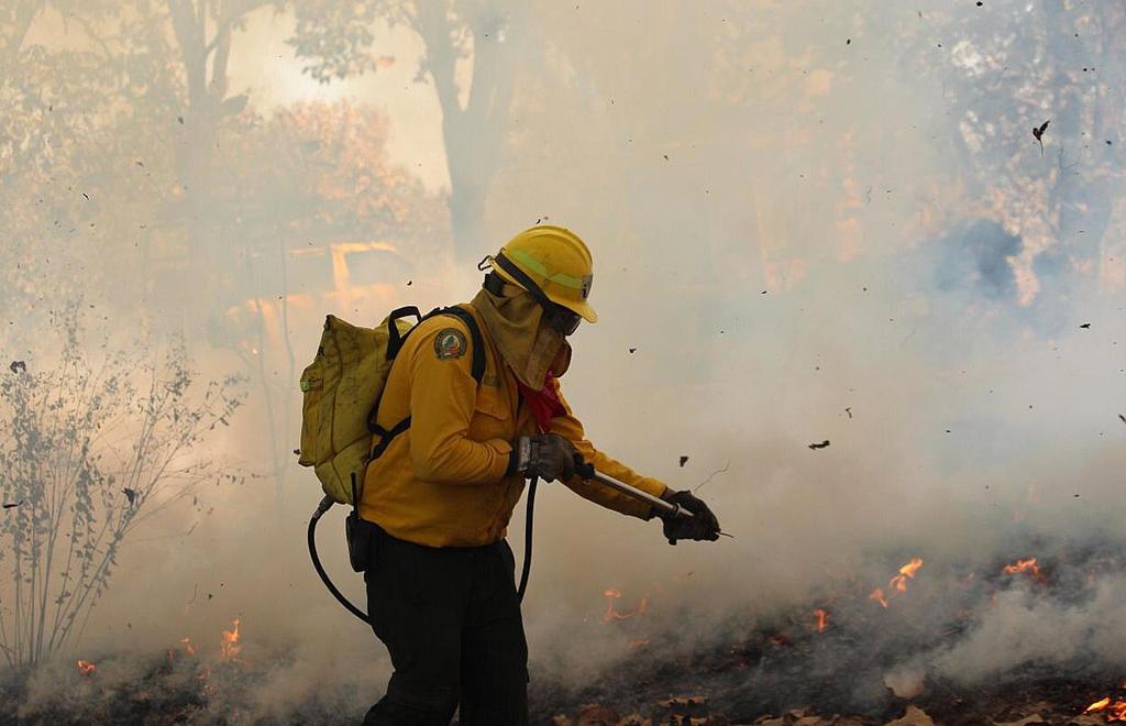 Incrementa Numero De Incendios Forestales En Mexico El Siglo De Torreon