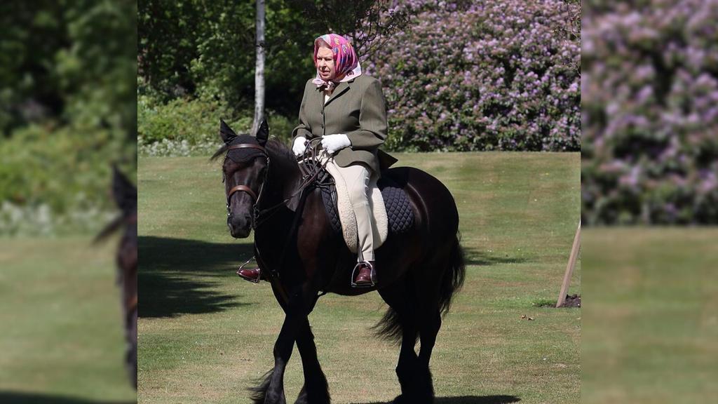 Reina Isabel II es captada montando a caballo durante confinamiento. Noticias en tiempo real