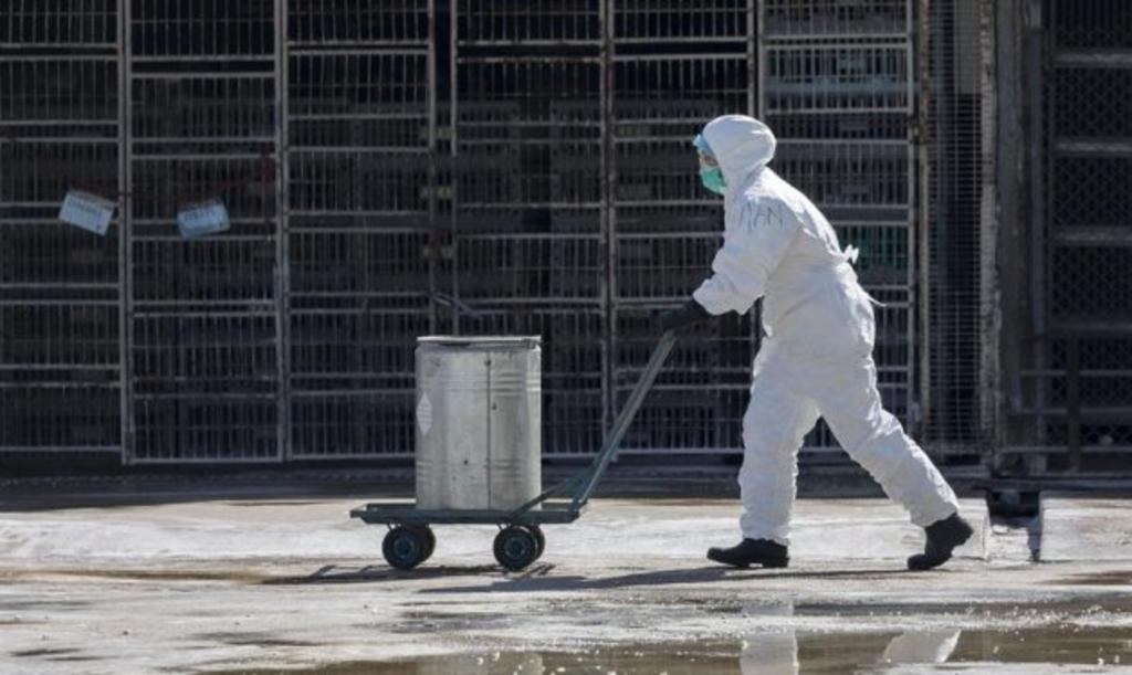 Ciudad de China emite alerta sanitaria por posible caso de peste bubónica. Noticias en tiempo real