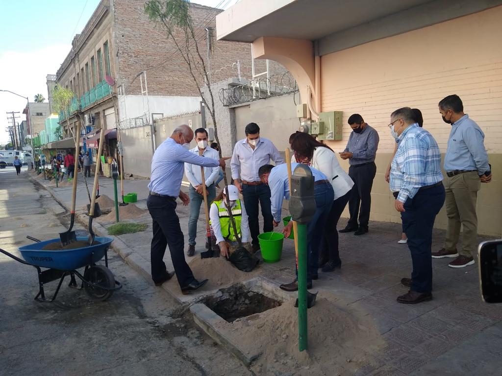 Inicia reforestación del Centro Histórico de Torreón. Noticias en tiempo real