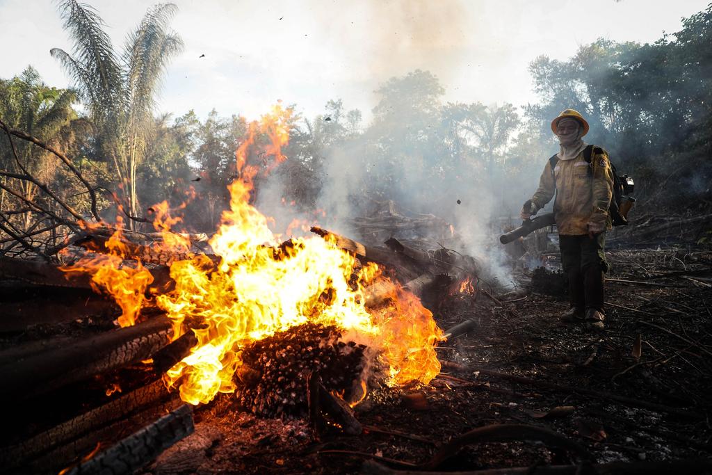 Incendios vuelven a amenazar la Amazonía brasileña. Noticias en tiempo real