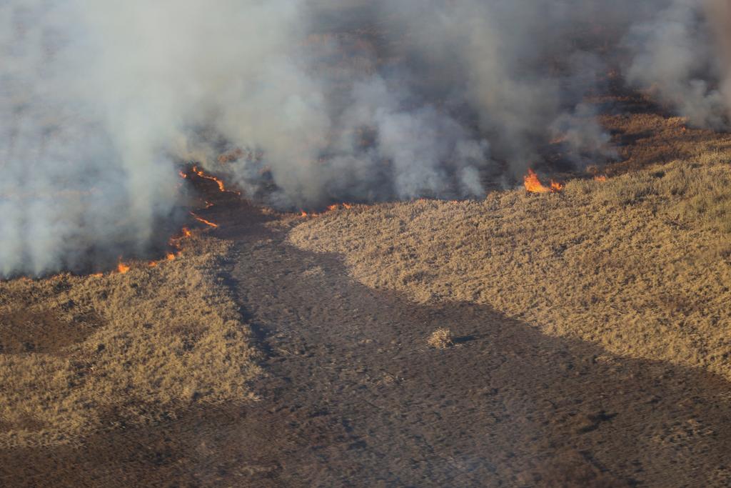 Avanzan los incendios en el río Paraná de Argentina. Noticias en tiempo real