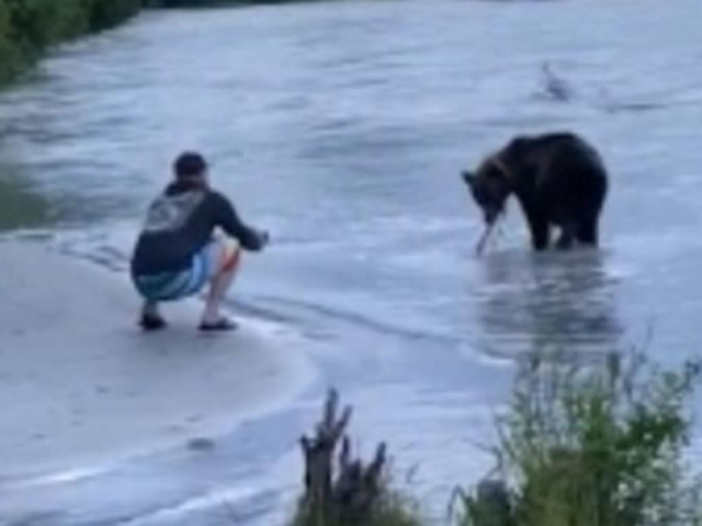 Pescador tiene encuentro cercano con un oso y este le roba su botín. Noticias en tiempo real