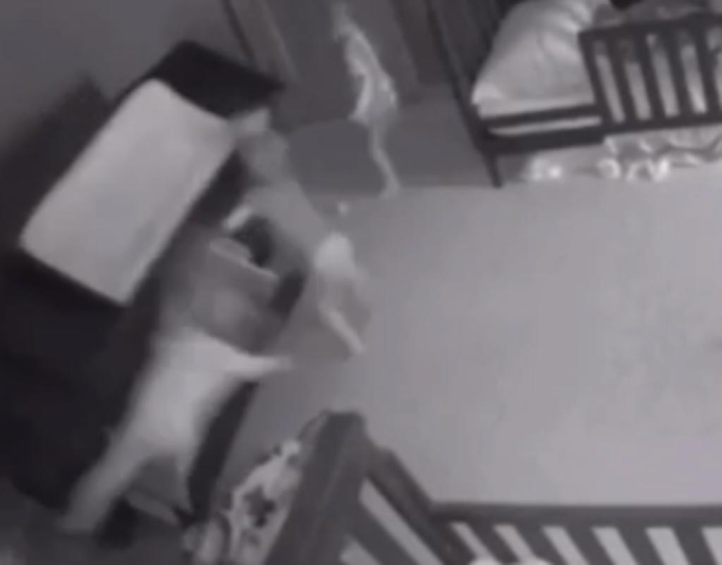 Bebés son aplastados por un tocador y logran escapar en cuestión de segundos. Noticias en tiempo real