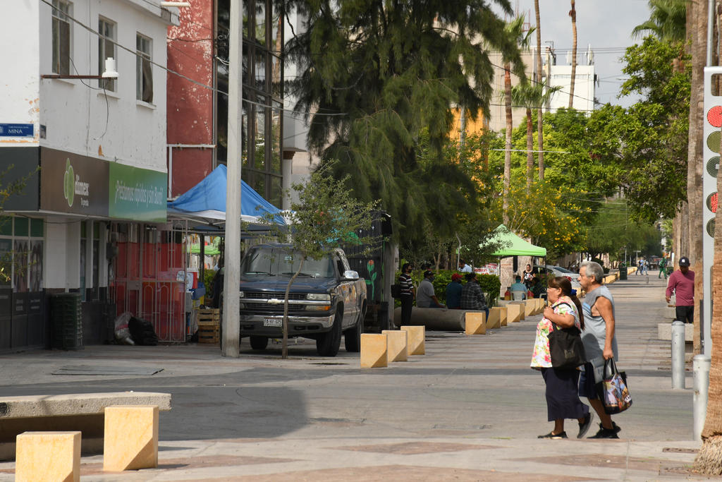 Perfilan proyecto de sombreado para la avenida Morelos en Torreón. Noticias en tiempo real