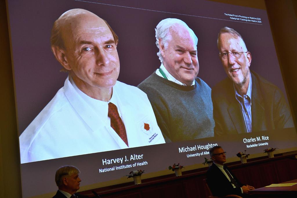 Otorgan Nobel de Medicina a virólogos por descubrir el virus de la hepatitis C. Noticias en tiempo real