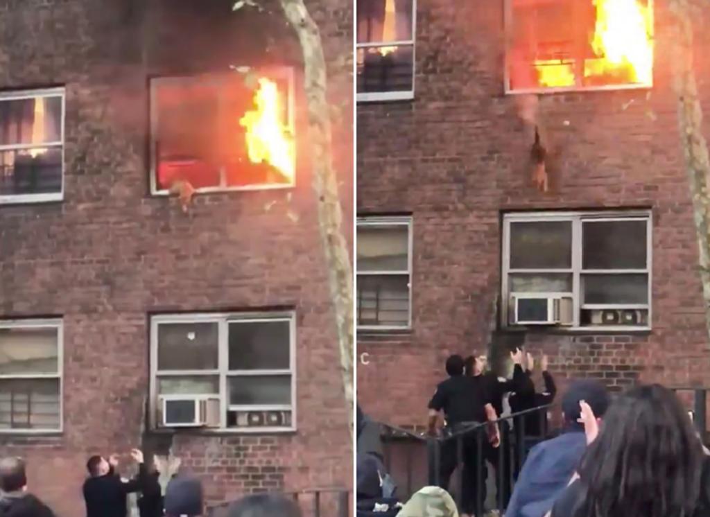 Gato brinca de un edificio para salvarse de un incendio. Noticias en tiempo real