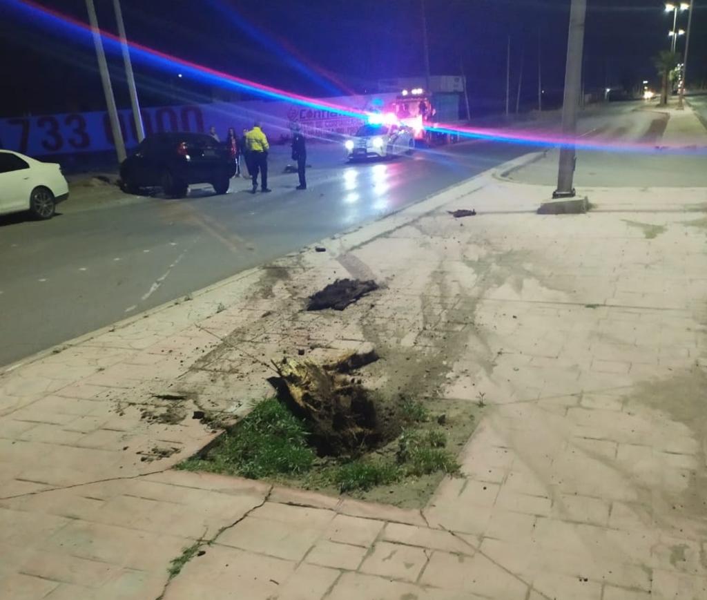 Conductora pierde control de su vehículo en Torreón y derriba palma. Noticias en tiempo real