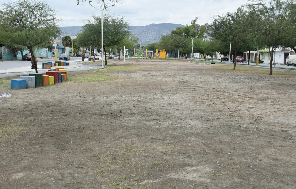 En Torreón, una línea no tan verde. Noticias en tiempo real