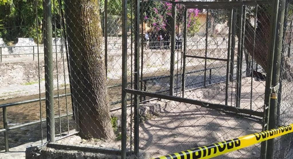 Ubican restos de recién nacida a las orillas del río Orizaba en Veracruz. Noticias en tiempo real