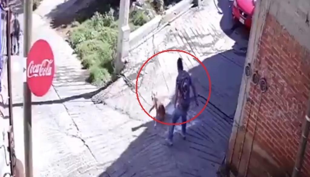 Indignante; sujeto estrella botella de cristal contra perrito en la calle. Noticias en tiempo real