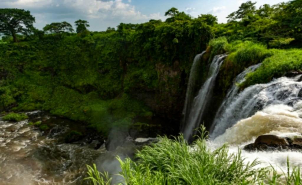 Río en Veracruz arrastra a excursionistas; suman cuatro muertos. Noticias en tiempo real