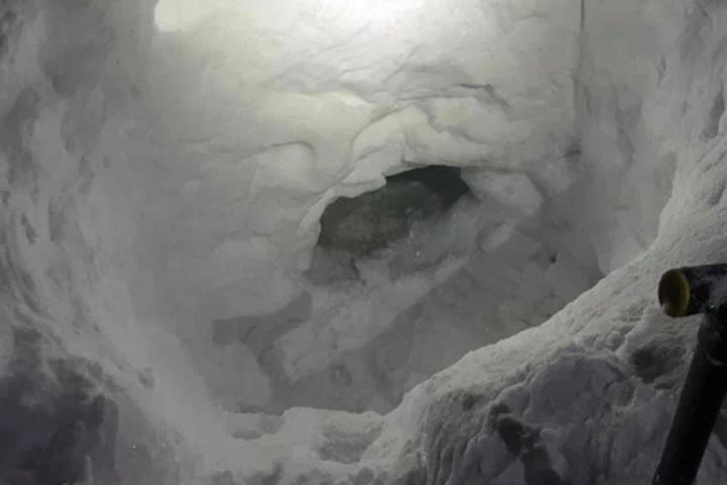 Adolescente construye una cueva de nieve para sobrevivir hasta que lo rescaten. Noticias en tiempo real