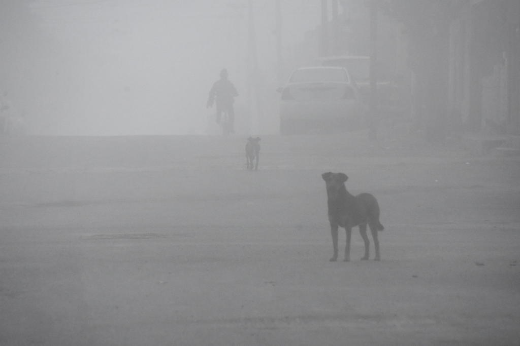 Amanece Monclova con densa niebla. Noticias en tiempo real