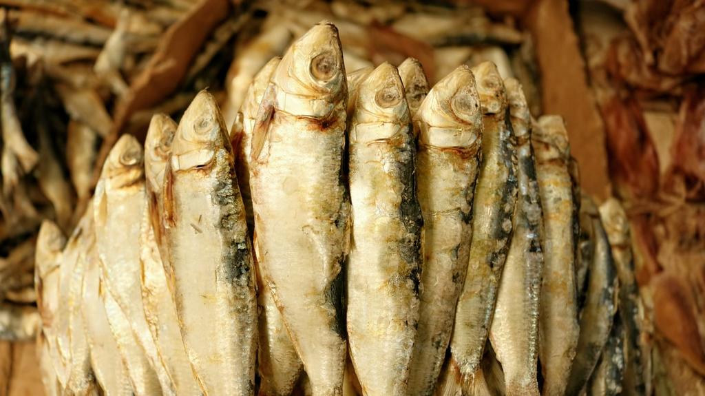 ¿Cuáles son los beneficios de las sardinas?. Noticias en tiempo real