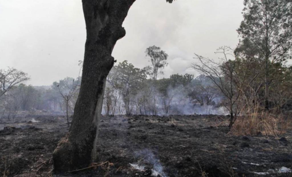 Activan alerta atmosférica en Zona Metropolitana de Guadalajara por incendio en La Primavera. Noticias en tiempo real