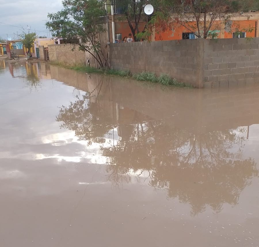 Encharcamientos menores en algunas colonias, saldo de la lluvia en San Pedro. Noticias en tiempo real