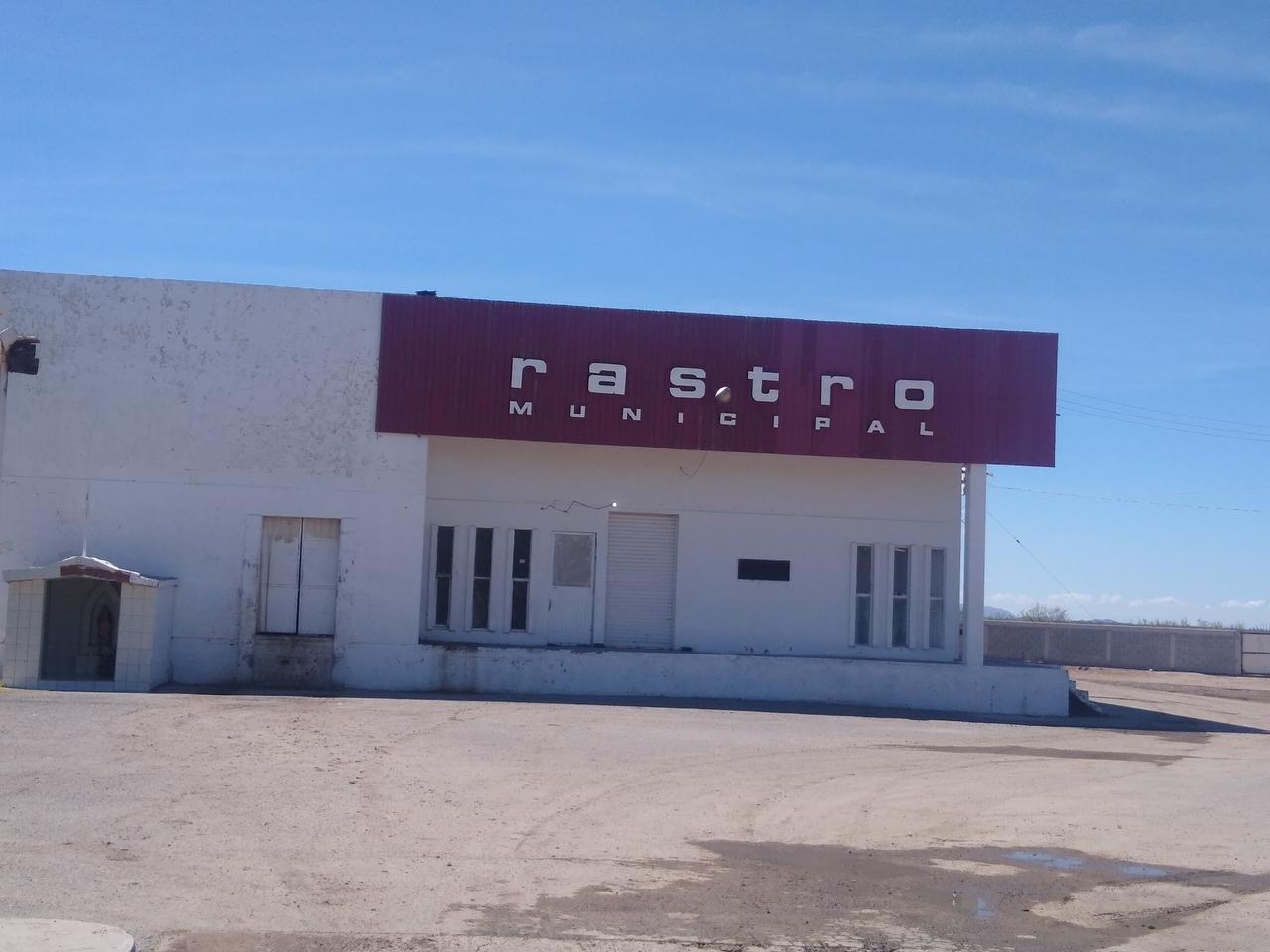 Alcaldesa niega que Rastro de San Pedro no cuente con equipo para trabajar. Noticias en tiempo real