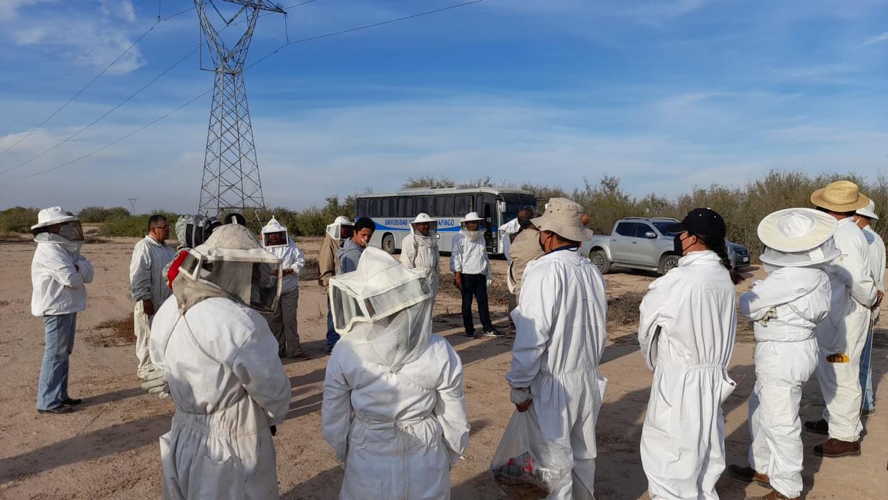 Segunda Feria de la Miel concluye con capacitación para apicultores en Gómez Palacio. Noticias en tiempo real