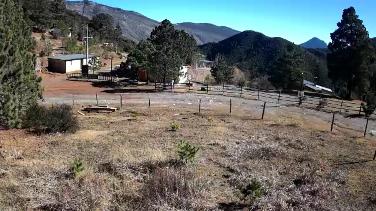Bajas temperaturas seguirán en Coahuila