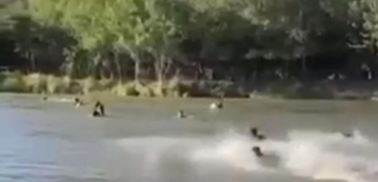Once personas caen al río tras el desplome de un puente colgante en Sinaloa