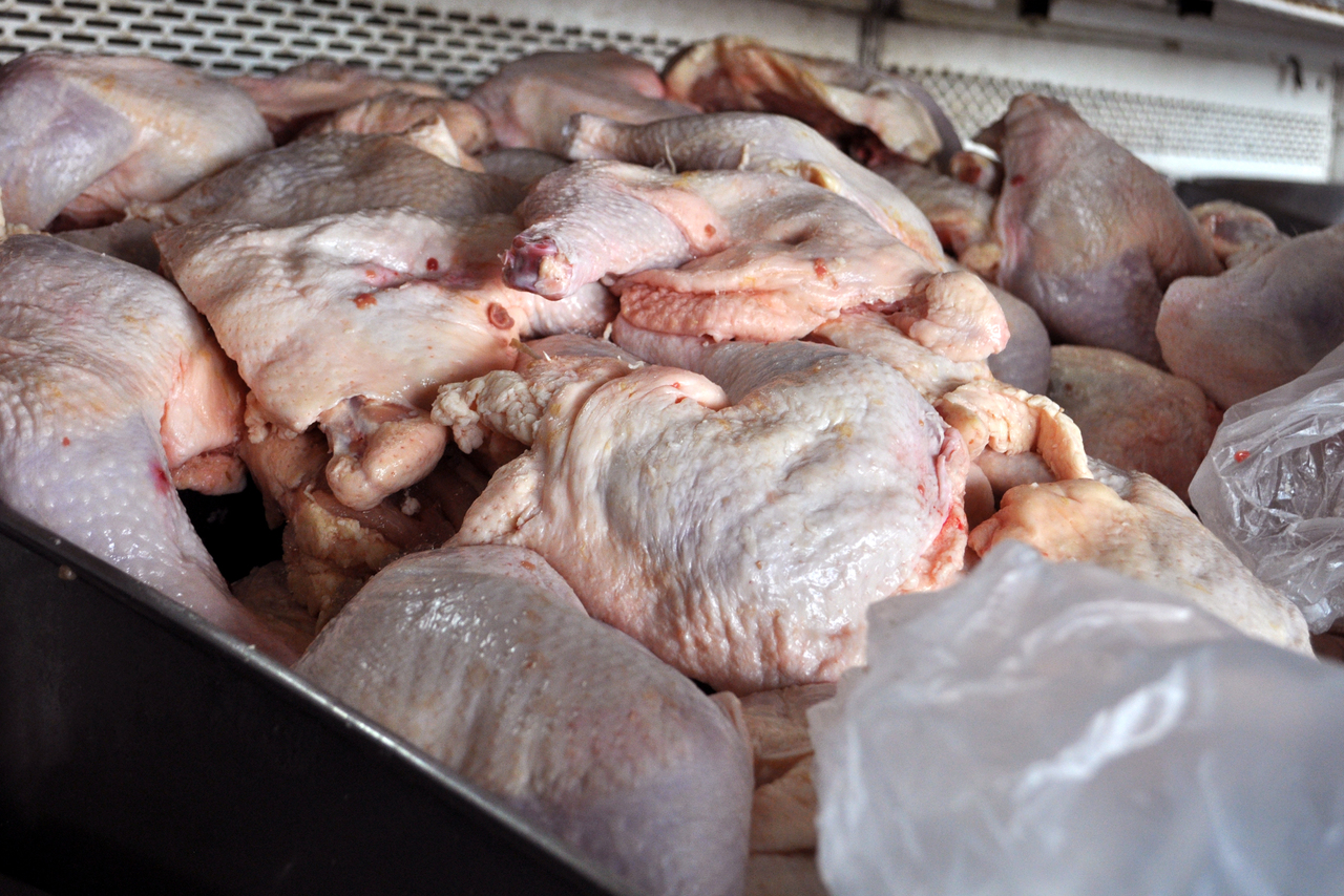 Producción de pollo cae 2.5 % en Durango 
